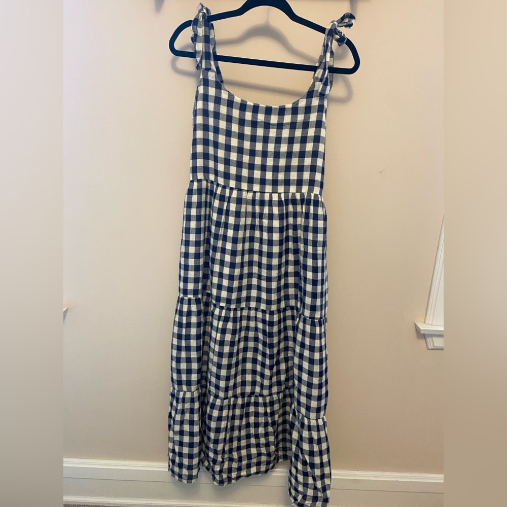 Women’s Little Cottonwood Gingham Dress in Blue and White